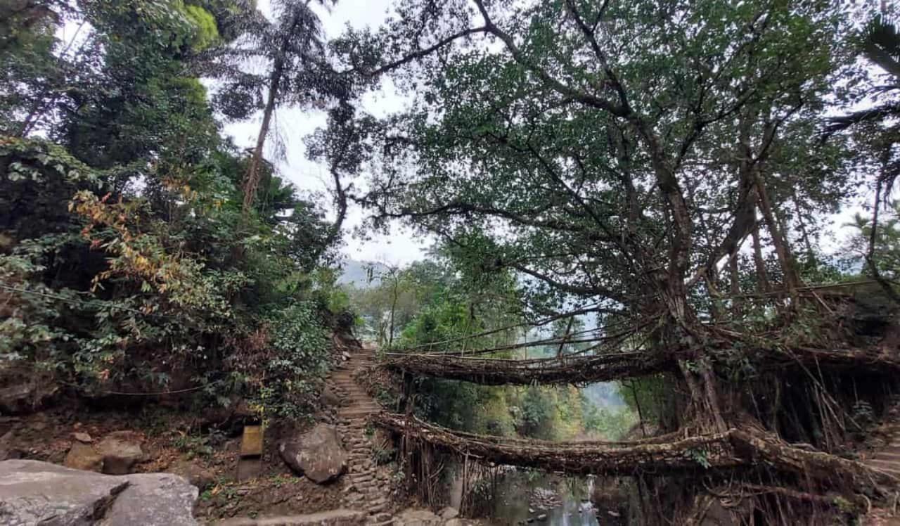 Odyssey Stays Nongriat - 3Kms Trek From Main Road เชร์ราปุนจี ภายนอก รูปภาพ