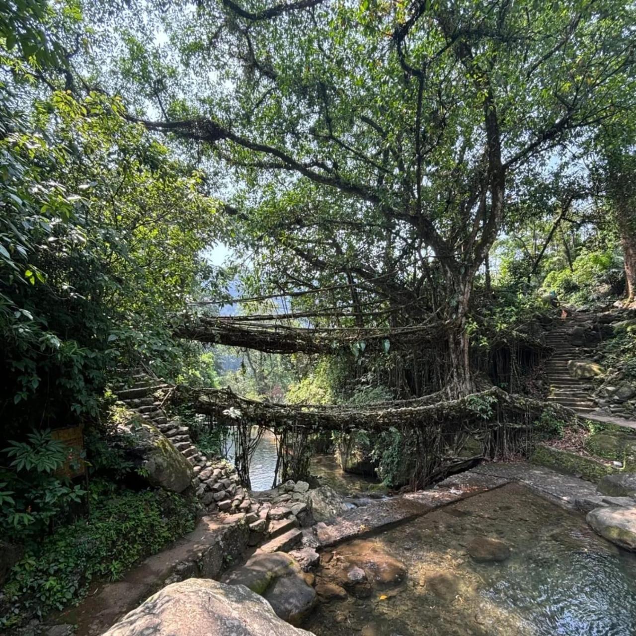 Odyssey Stays Nongriat - 3Kms Trek From Main Road เชร์ราปุนจี ภายนอก รูปภาพ
